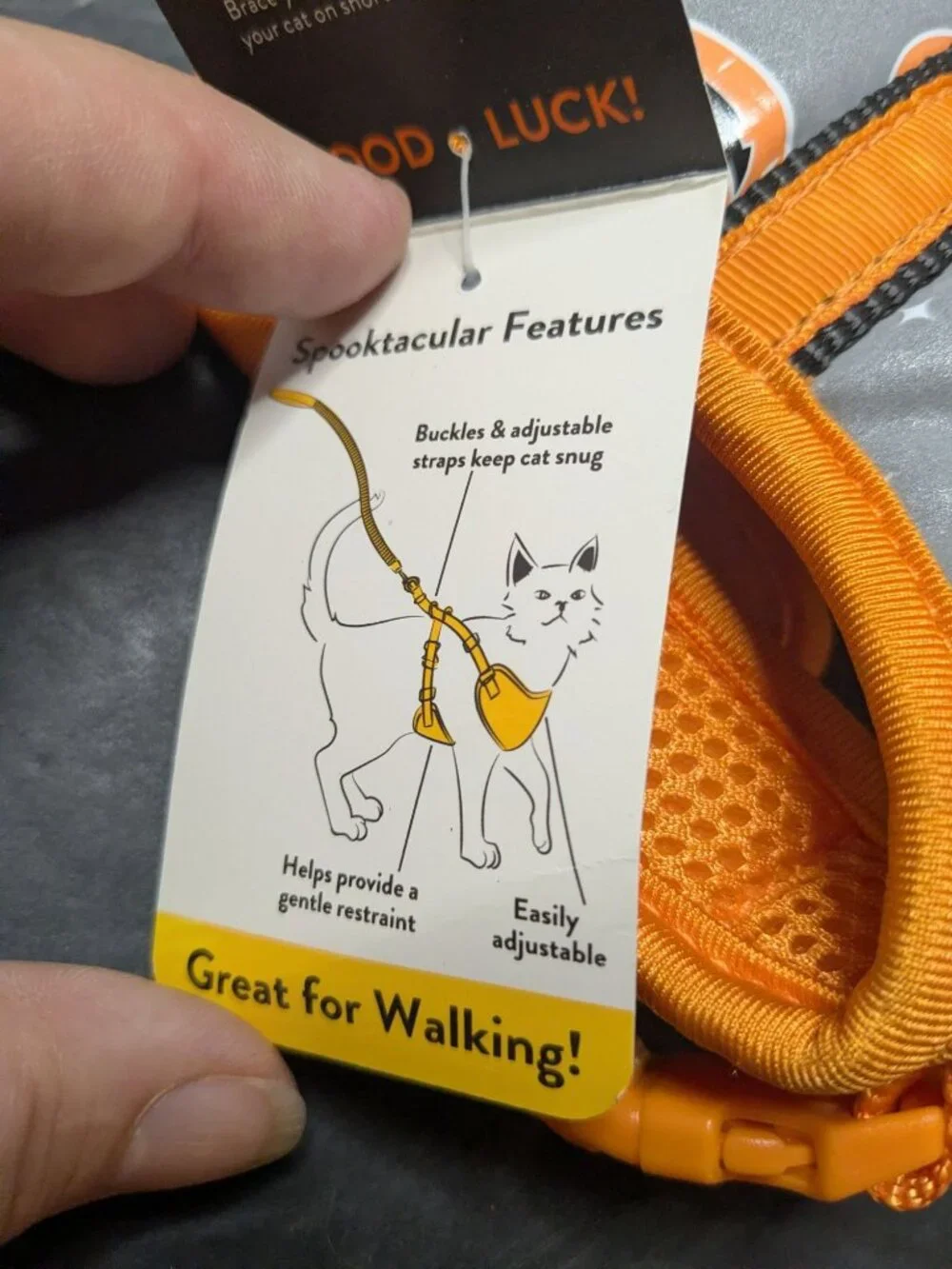 Thrills & Chills Reflective Kitten Harness & Leash Pumpkin Halloween Theme